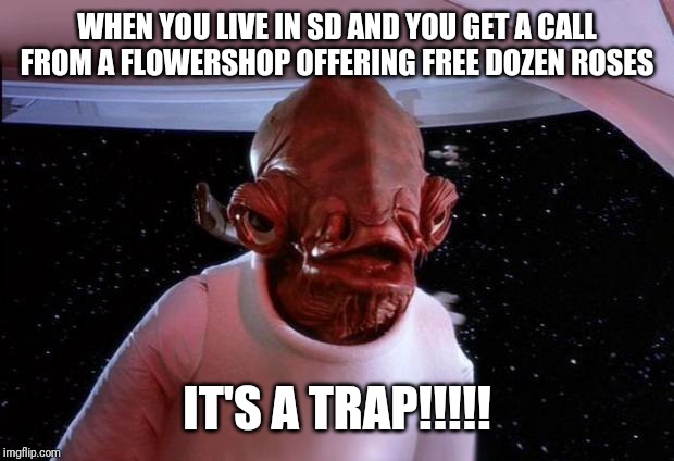 mondays its a trap | WHEN YOU LIVE IN SD AND YOU GET A CALL FROM A FLOWERSHOP OFFERING FREE DOZEN ROSES; IT'S A TRAP!!!!! | image tagged in mondays its a trap | made w/ Imgflip meme maker