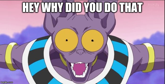 beerus | HEY WHY DID YOU DO THAT | image tagged in beerus | made w/ Imgflip meme maker