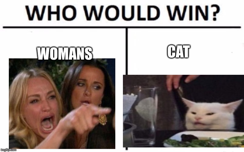 Who Would Win? Meme | CAT; WOMANS | image tagged in memes,who would win | made w/ Imgflip meme maker