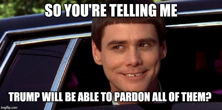 dumb and dumber | SO YOU'RE TELLING ME TRUMP WILL BE ABLE TO PARDON ALL OF THEM? | image tagged in dumb and dumber | made w/ Imgflip meme maker