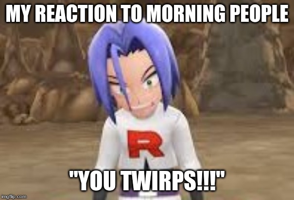 "Twirps!" James Team Rocket | MY REACTION TO MORNING PEOPLE; "YOU TWIRPS!!!" | image tagged in twirps james team rocket | made w/ Imgflip meme maker