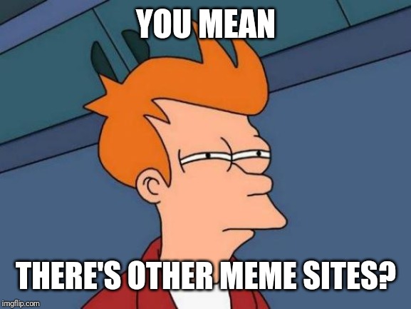 Futurama Fry Meme | YOU MEAN THERE'S OTHER MEME SITES? | image tagged in memes,futurama fry | made w/ Imgflip meme maker