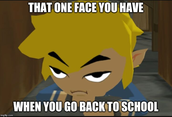 Frustrated Link | THAT ONE FACE YOU HAVE; WHEN YOU GO BACK TO SCHOOL | image tagged in frustrated link | made w/ Imgflip meme maker