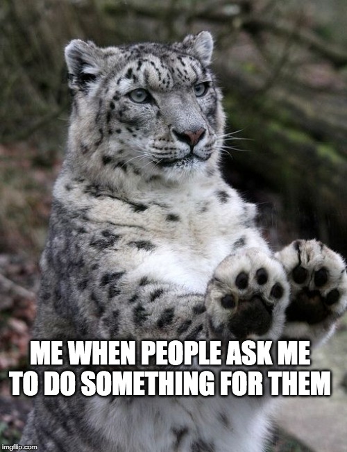 hold up leopard | ME WHEN PEOPLE ASK ME TO DO SOMETHING FOR THEM | image tagged in hold up leopard | made w/ Imgflip meme maker