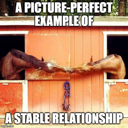Not to nag you, but... | A PICTURE-PERFECT EXAMPLE OF; A STABLE RELATIONSHIP | image tagged in horse,memes,funny,pun,stable,relationship | made w/ Imgflip meme maker