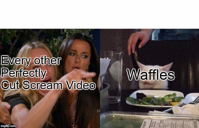 Woman Yelling At Cat | Every other Perfectly Cut Scream Video; Waffles | image tagged in memes,woman yelling at cat | made w/ Imgflip meme maker