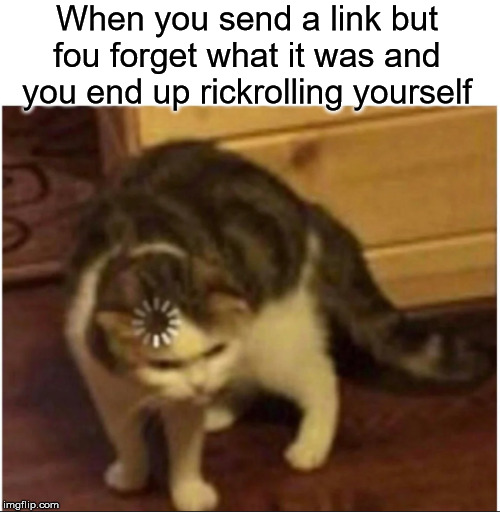 Confused loading cat | When you send a link but fou forget what it was and you end up rickrolling yourself | image tagged in confused loading cat | made w/ Imgflip meme maker