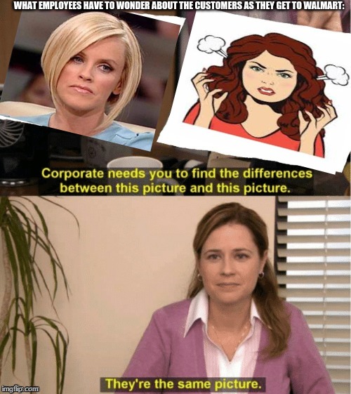 They're The Same Picture Meme | WHAT EMPLOYEES HAVE TO WONDER ABOUT THE CUSTOMERS AS THEY GET TO WALMART: | image tagged in office same picture | made w/ Imgflip meme maker