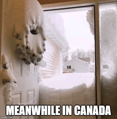 MEANWHILE IN CANADA | image tagged in memes,canada,meanwhile in canada,funny,cold,snow | made w/ Imgflip meme maker