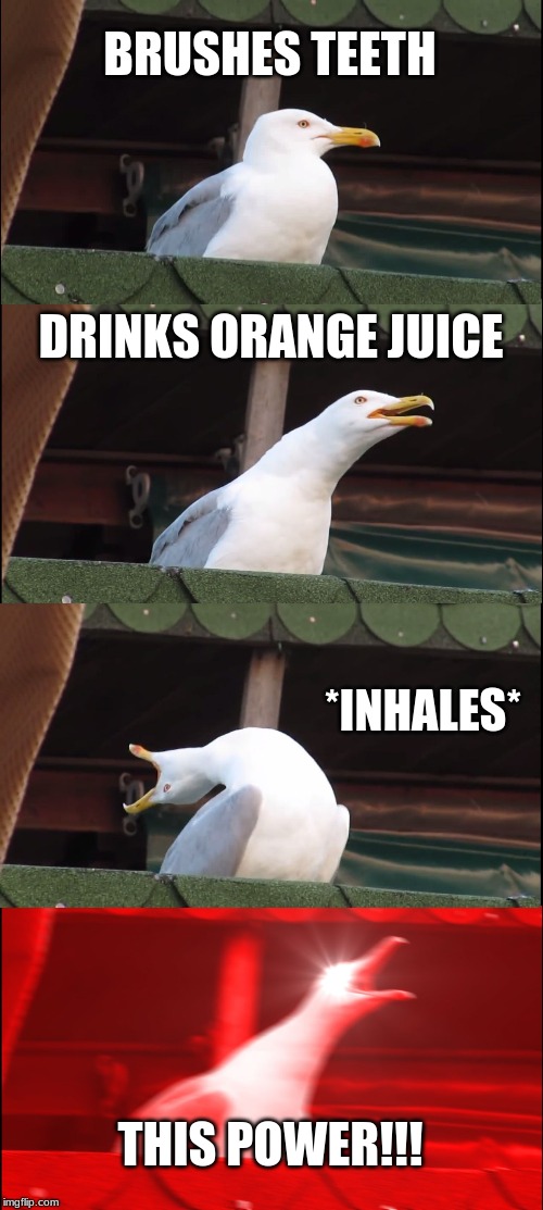 Inhaling Seagull | BRUSHES TEETH; DRINKS ORANGE JUICE; *INHALES*; THIS POWER!!! | image tagged in memes,inhaling seagull | made w/ Imgflip meme maker