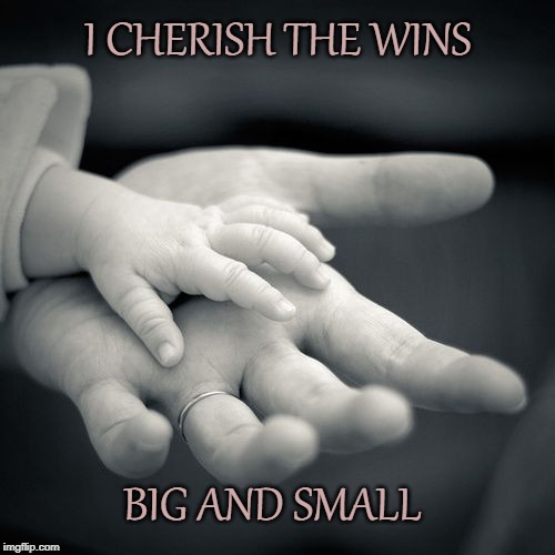 I CHERISH THE WINS; BIG AND SMALL | image tagged in affirmation,wins,cherish,hands | made w/ Imgflip meme maker
