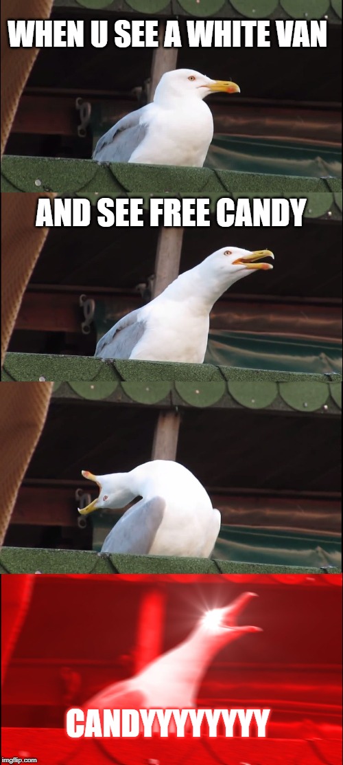 Inhaling Seagull | WHEN U SEE A WHITE VAN; AND SEE FREE CANDY; CANDYYYYYYYY | image tagged in memes,inhaling seagull | made w/ Imgflip meme maker