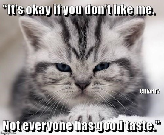 It's ok | CHIANTY | image tagged in good | made w/ Imgflip meme maker