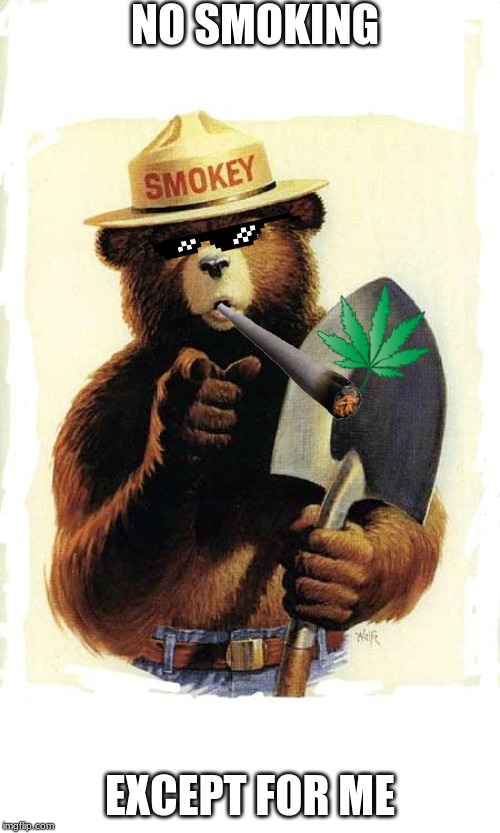 Smokey The Bear | NO SMOKING; EXCEPT FOR ME | image tagged in smokey the bear | made w/ Imgflip meme maker