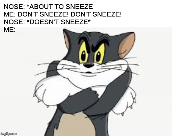 It do be like dat | NOSE: *ABOUT TO SNEEZE
ME: DON'T SNEEZE! DON'T SNEEZE!
NOSE: *DOESN'T SNEEZE*
ME: | image tagged in tom | made w/ Imgflip meme maker