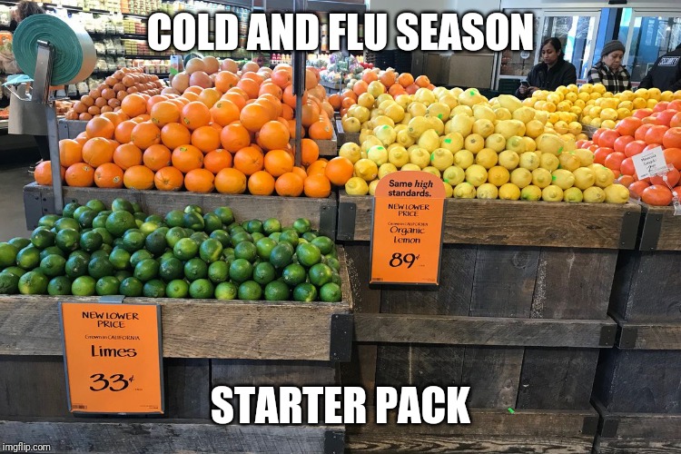 COLD AND FLU SEASON; STARTER PACK | image tagged in winter is coming | made w/ Imgflip meme maker