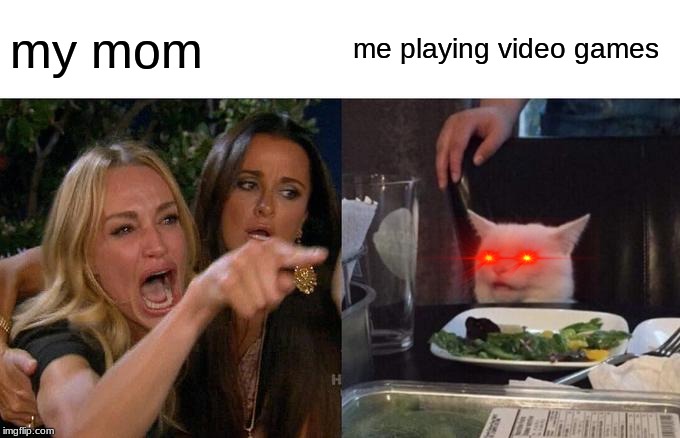 Woman Yelling At Cat | my mom; me playing video games | image tagged in memes,woman yelling at cat | made w/ Imgflip meme maker