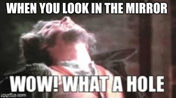WHEN YOU LOOK IN THE MIRROR | image tagged in mirror,home alone | made w/ Imgflip meme maker