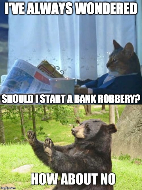 I'VE ALWAYS WONDERED; SHOULD I START A BANK ROBBERY? | image tagged in memes,how about no bear,i should buy a boat cat | made w/ Imgflip meme maker
