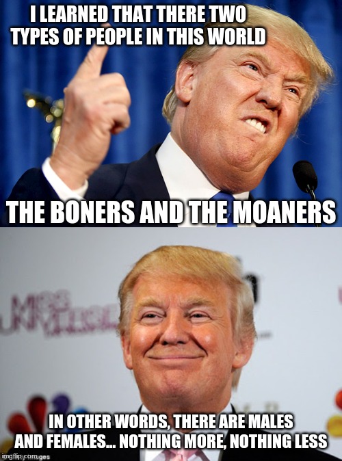 I LEARNED THAT THERE TWO TYPES OF PEOPLE IN THIS WORLD; THE BONERS AND THE MOANERS; IN OTHER WORDS, THERE ARE MALES AND FEMALES... NOTHING MORE, NOTHING LESS | image tagged in donald trump approves,donald trump | made w/ Imgflip meme maker