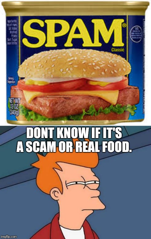 Dont know if real or not... | DONT KNOW IF IT'S A SCAM OR REAL FOOD. | image tagged in memes,futurama fry,spam | made w/ Imgflip meme maker