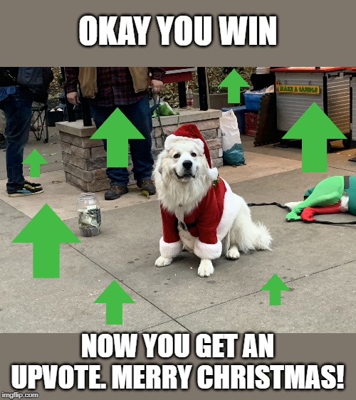 When they cutely explain their upvote-begging meme was not in fact an upvote-begging meme and you finally give it to them. | OKAY YOU WIN; NOW YOU GET AN UPVOTE. MERRY CHRISTMAS! | image tagged in upvote beggin for money,upvotes,upvote,begging for upvotes,upvote begging,merry christmas | made w/ Imgflip meme maker