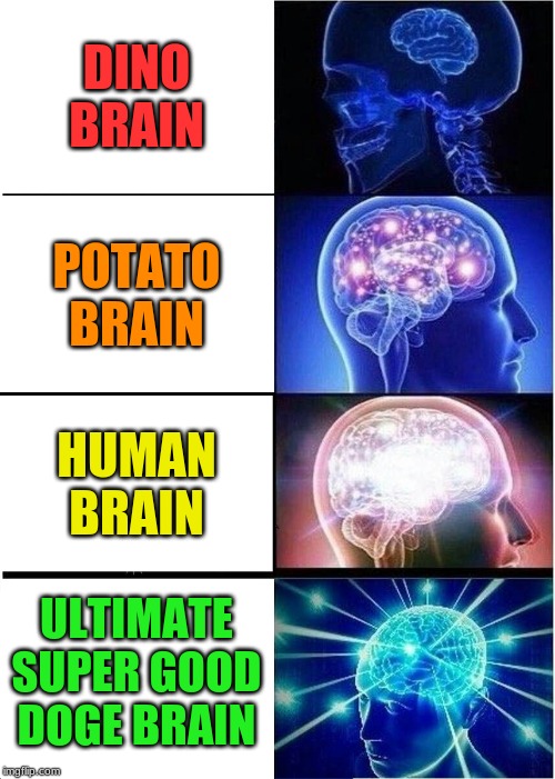 Expanding Brain Meme | DINO BRAIN; POTATO BRAIN; HUMAN BRAIN; ULTIMATE SUPER GOOD DOGE BRAIN | image tagged in memes,expanding brain | made w/ Imgflip meme maker