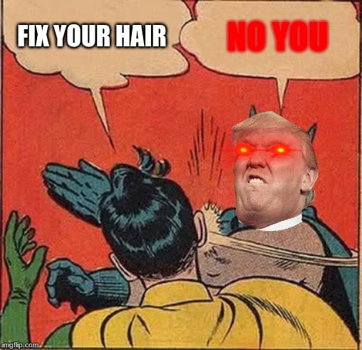 Batman Slapping Robin Meme | FIX YOUR HAIR; NO YOU | image tagged in memes,batman slapping robin | made w/ Imgflip meme maker