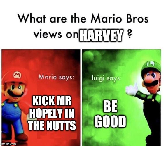Mario Bros Views | HARVEY; KICK MR HOPELY IN THE NUTTS; BE GOOD | image tagged in mario bros views | made w/ Imgflip meme maker