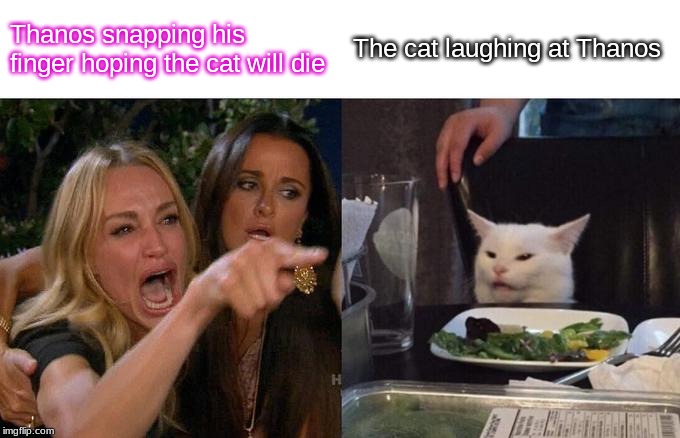 Woman Yelling At Cat | Thanos snapping his finger hoping the cat will die; The cat laughing at Thanos | image tagged in memes,woman yelling at cat | made w/ Imgflip meme maker