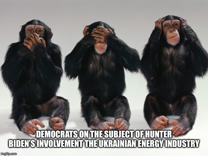 Biden | DEMOCRATS ON THE SUBJECT OF HUNTER BIDEN’S INVOLVEMENT THE UKRAINIAN ENERGY INDUSTRY | image tagged in three monkeys | made w/ Imgflip meme maker