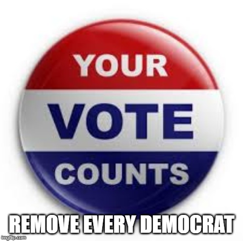 Vote Red | REMOVE EVERY DEMOCRAT | image tagged in vote | made w/ Imgflip meme maker