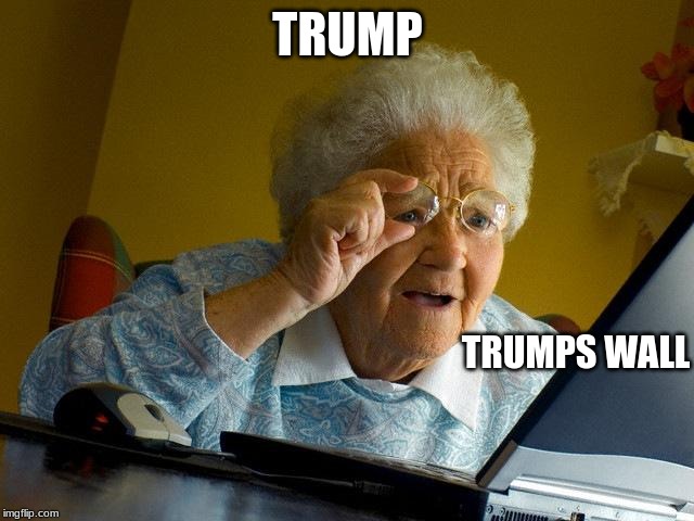 Grandma Finds The Internet | TRUMP; TRUMPS WALL | image tagged in memes,grandma finds the internet | made w/ Imgflip meme maker