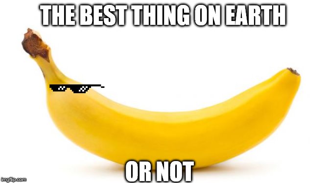 Banana | THE BEST THING ON EARTH; OR NOT | image tagged in banana | made w/ Imgflip meme maker