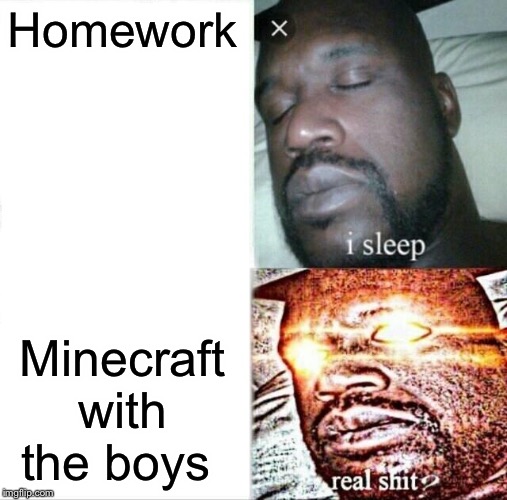 Sleeping Shaq | Homework; Minecraft with the boys | image tagged in memes,sleeping shaq | made w/ Imgflip meme maker