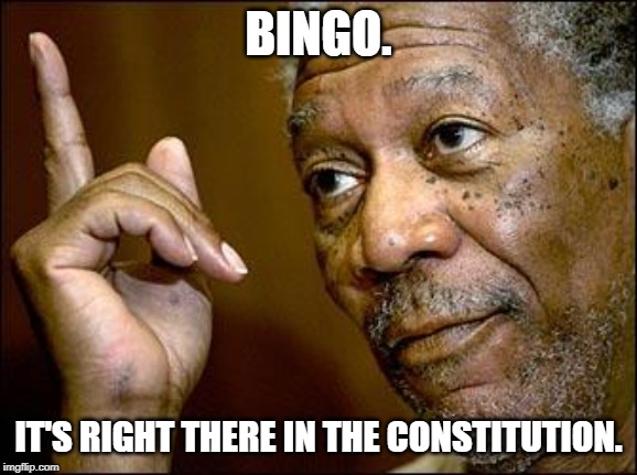 This Morgan Freeman | BINGO. IT'S RIGHT THERE IN THE CONSTITUTION. | image tagged in this morgan freeman | made w/ Imgflip meme maker