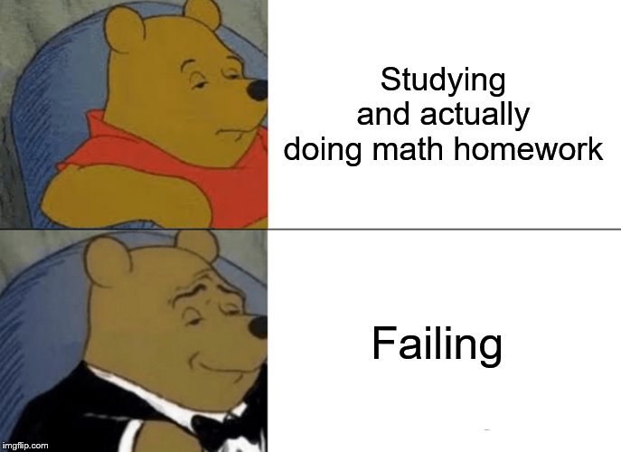 Tuxedo Winnie The Pooh | Studying and actually doing math homework; Failing | image tagged in memes,tuxedo winnie the pooh | made w/ Imgflip meme maker