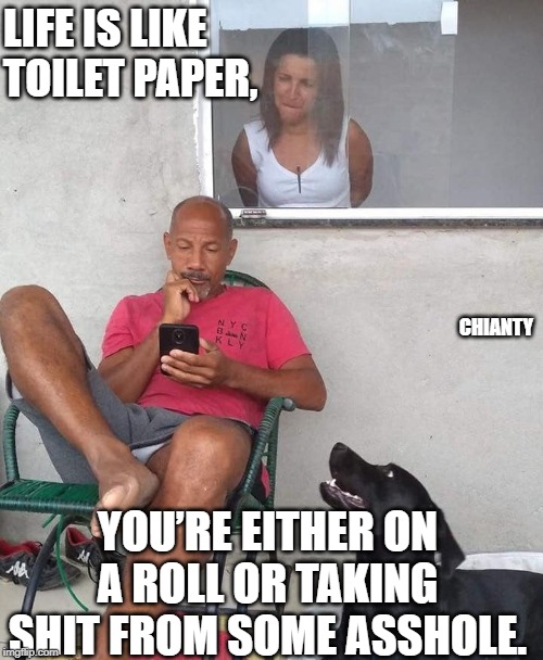 Life | LIFE IS LIKE TOILET PAPER, CHIANTY; YOU’RE EITHER ON A ROLL OR TAKING SHIT FROM SOME ASSHOLE. | image tagged in toilet paper | made w/ Imgflip meme maker