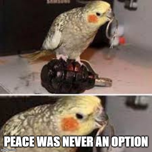 Peace was never an option. | PEACE WAS NEVER AN OPTION | image tagged in untitled goose peace was never an option,violent,funny,bird | made w/ Imgflip meme maker