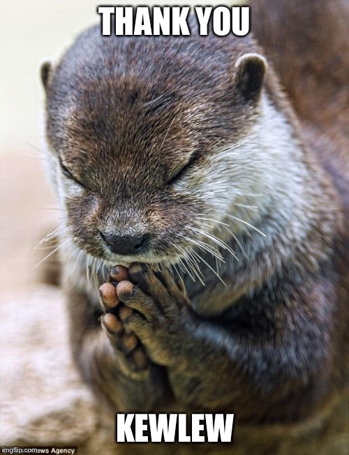 Thank you Lord Otter | THANK YOU KEWLEW | image tagged in thank you lord otter | made w/ Imgflip meme maker