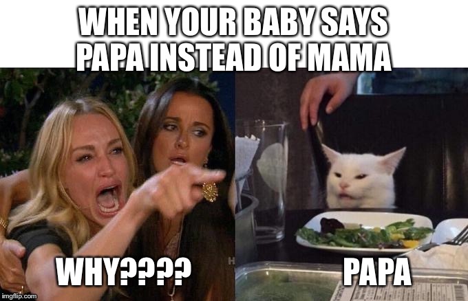 When your baby says Papa | WHEN YOUR BABY SAYS PAPA INSTEAD OF MAMA; WHY????                         PAPA | image tagged in funny | made w/ Imgflip meme maker