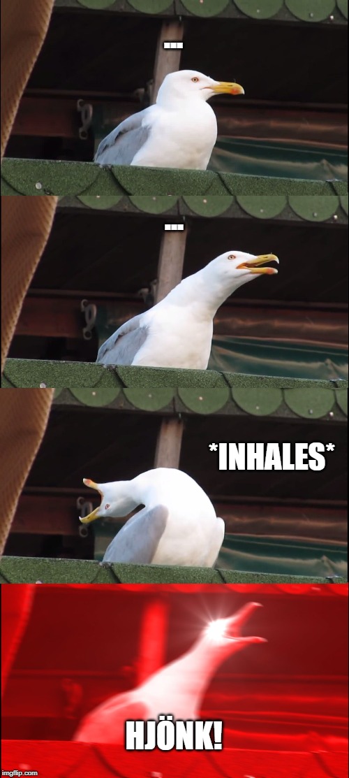 Inhaling Seagull Meme | ... ... *INHALES*; HJÖNK! | image tagged in memes,inhaling seagull | made w/ Imgflip meme maker