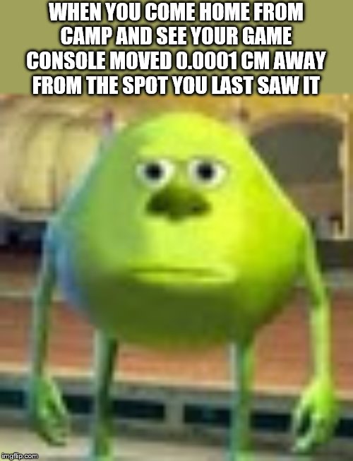 Sully Wazowski | WHEN YOU COME HOME FROM CAMP AND SEE YOUR GAME CONSOLE MOVED 0.0001 CM AWAY FROM THE SPOT YOU LAST SAW IT | image tagged in sully wazowski | made w/ Imgflip meme maker