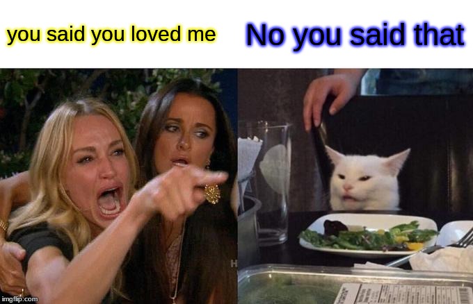 Woman Yelling At Cat Meme | you said you loved me; No you said that | image tagged in memes,woman yelling at cat | made w/ Imgflip meme maker