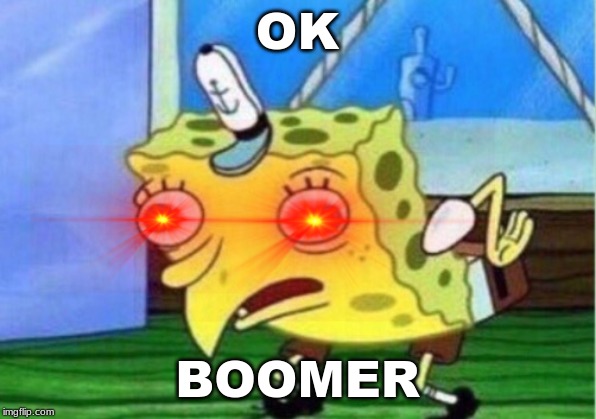 OK; BOOMER | image tagged in ok boomer | made w/ Imgflip meme maker