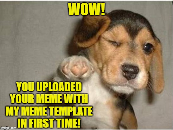 Cool Dog | WOW! YOU UPLOADED YOUR MEME WITH MY MEME TEMPLATE IN FIRST TIME! | image tagged in cool dog | made w/ Imgflip meme maker