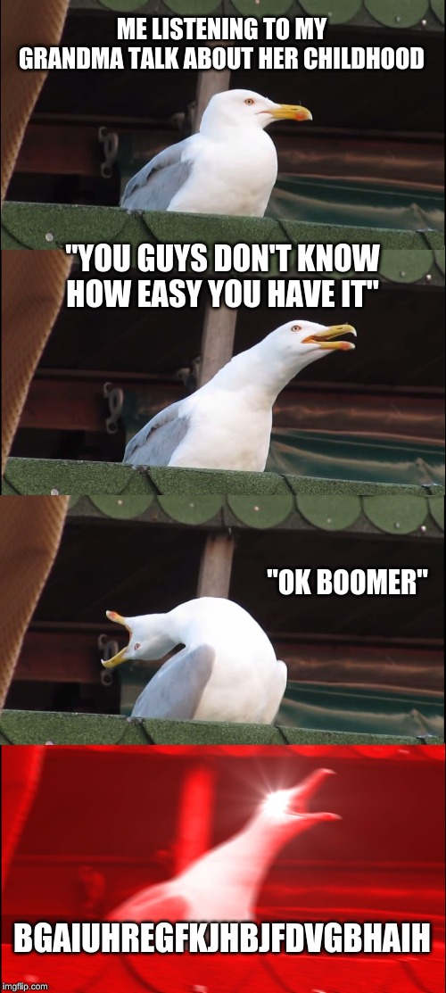 Inhaling Seagull | ME LISTENING TO MY GRANDMA TALK ABOUT HER CHILDHOOD; "YOU GUYS DON'T KNOW HOW EASY YOU HAVE IT"; "OK BOOMER"; BGAIUHREGFKJHBJFDVGBHAIH | image tagged in memes,inhaling seagull | made w/ Imgflip meme maker