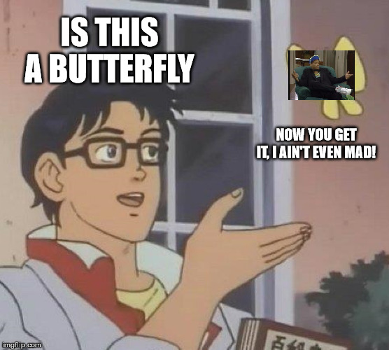 Is This A Pigeon Meme | IS THIS A BUTTERFLY NOW YOU GET IT, I AIN'T EVEN MAD! | image tagged in memes,is this a pigeon | made w/ Imgflip meme maker