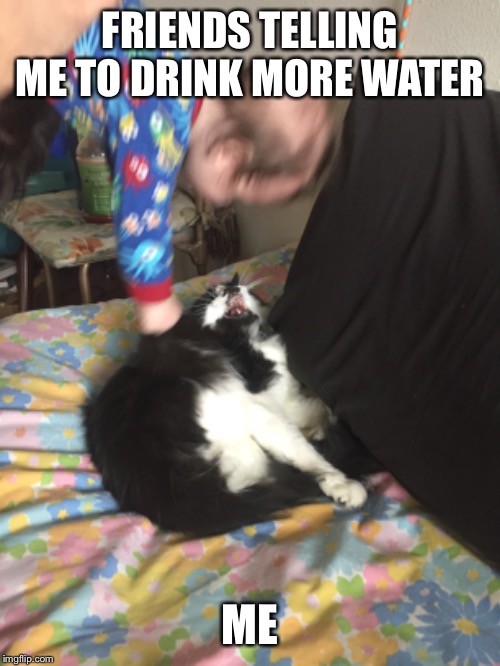 FRIENDS TELLING ME TO DRINK MORE WATER; ME | image tagged in cat,baby | made w/ Imgflip meme maker