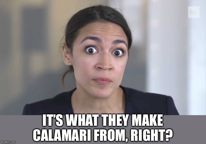 AOC Stumped | IT’S WHAT THEY MAKE CALAMARI FROM, RIGHT? | image tagged in aoc stumped | made w/ Imgflip meme maker
